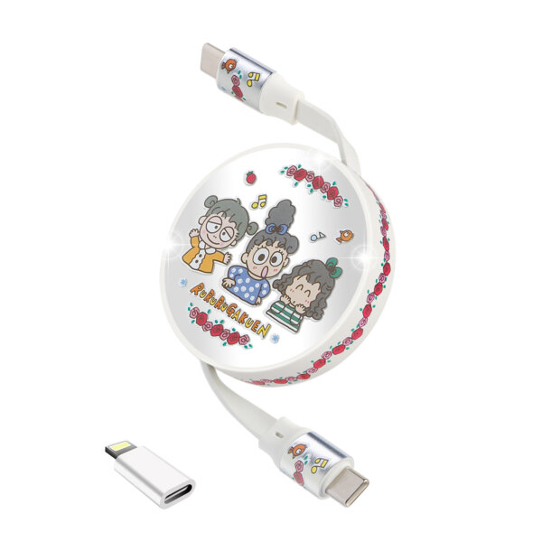 Retractable USB-C Data Sync/ Charging Cable - RURURUGAKUEN
